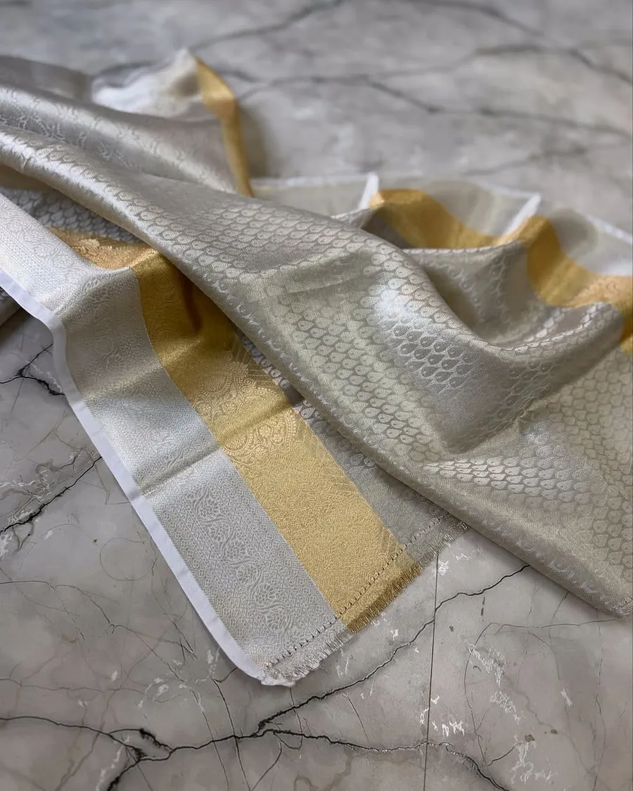 Banarasi Zari Tissue Sarees